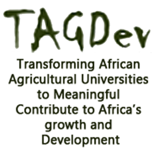 img-tagdev_logo-1.png